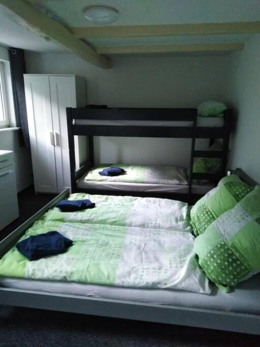 Wohnung Im Gruenen In Olsberg Eksteriør billede